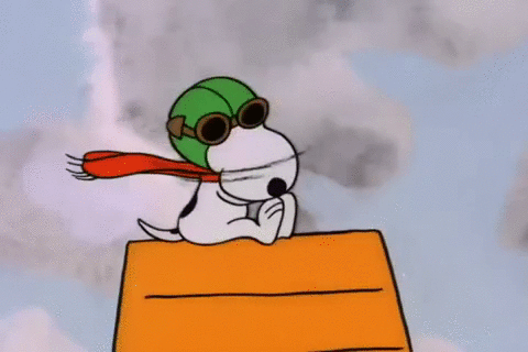 snoopy-red-baron.gif