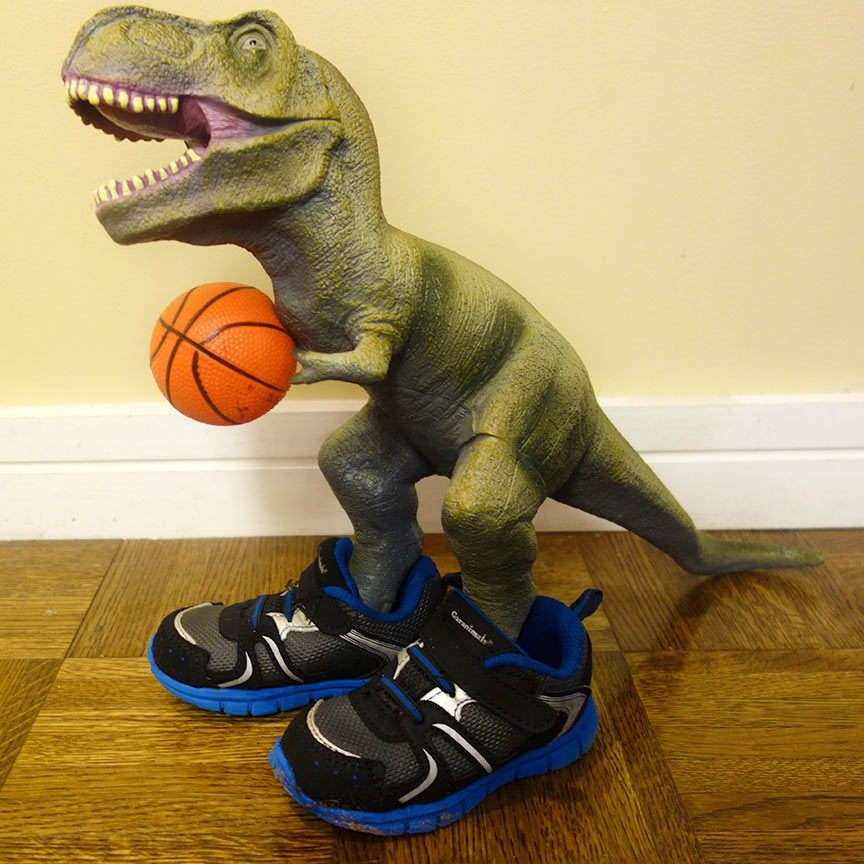 trex_basketball.jpg