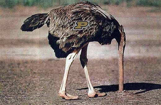 ostrich-head-in-sand_zpsc8nuiwd4.jpg