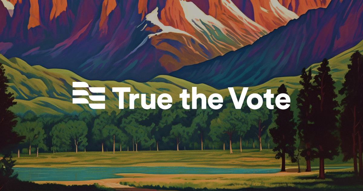 newsletter.truethevote.org