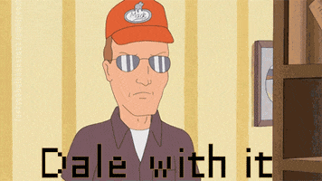 king of the hill deal with it GIF