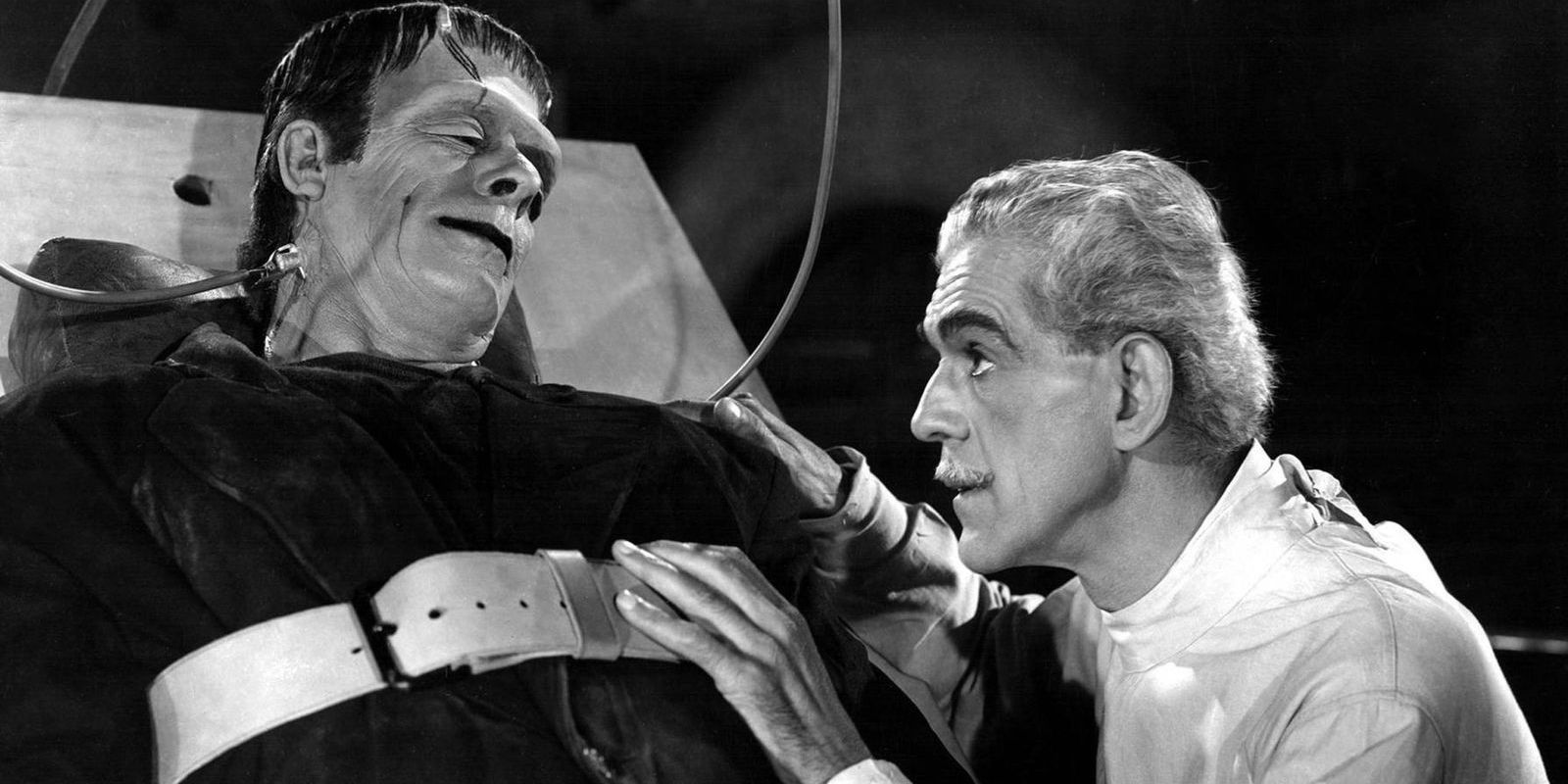 Frankenstein-and-Doctor-Frankenstein.jpg